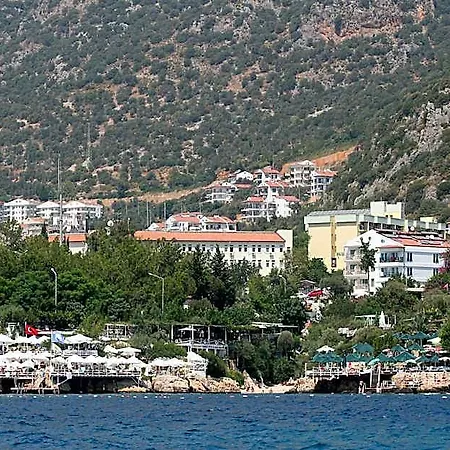 Arnna