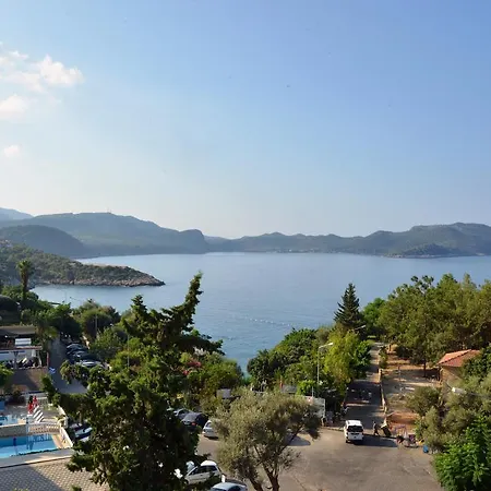 酒店 阿尔纳酒店 3*