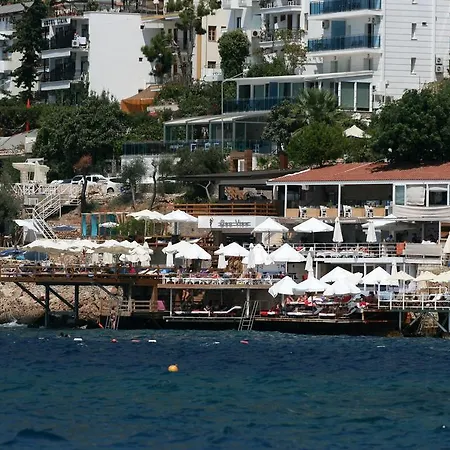 阿尔纳酒店 酒店 卡斯