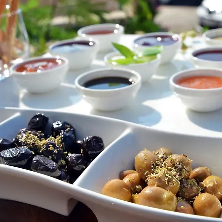 أرنا 2* كاس